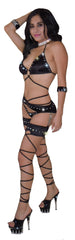 SEXY STRIPPER  EXOTIC DANCER  RHINESTONE 4 PIECE  CAGE MINI  CHAP SET BY LA KISS.COM - LA Kiss.com